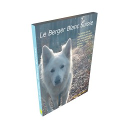 Le Berger Blanc Suisse