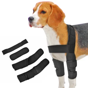 Genouillère pour chien, blessures, attelle chirurgicale pour les articulations, blessures du chien, guérison de l'arthrite de la jambe avant canine, prévient les chiens, fournitures médicales