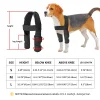 kf-HTB1T3m5Kh1YBuNjy1zcq6zNcXXaJ Genouillère pour chien, blessures, attelle chirurgicale pour les articulations, blessures du chien, guérison de l'arthrite de la jambe avant canine, prévient les chiens, fournitures médicales