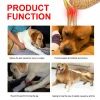 kf-HTB1s2HJKbSYBuNjSspfq6AZCpXaw Genouillère pour chien, blessures, attelle chirurgicale pour les articulations, blessures du chien, guérison de l'arthrite de la jambe avant canine, prévient les chiens, fournitures médicales