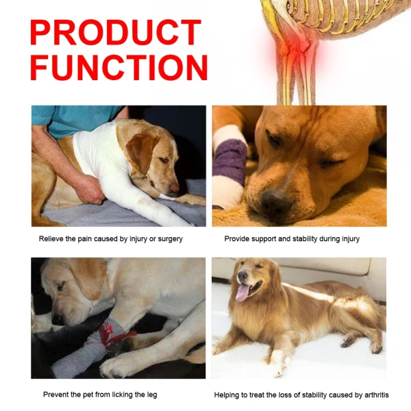 kf-HTB1s2HJKbSYBuNjSspfq6AZCpXaw Genouillère pour chien, blessures, attelle chirurgicale pour les articulations, blessures du chien, guérison de l'arthrite de la jambe avant canine, prévient les chiens, fournitures médicales