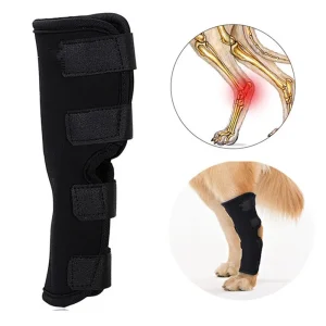 Genouillères de jambes pour chiens, Bandage de récupération, Anti-léchage, arthrite du chien, protection auxiliaire des articulations fixes, accessoires pour chiens