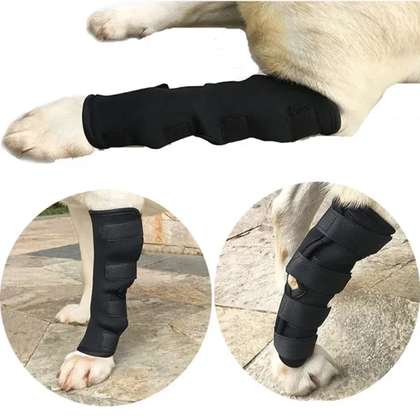 Genouillères de jambes pour chiens, Bandage de récupération, Anti-léchage, arthrite du chien, protection auxiliaire des articulations fixes, accessoires pour chiens