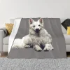 kf-S1264793ec08746cba7e92b012662485f8 Chien berger suisse blanc Une couverture ultra douce en micro polaire