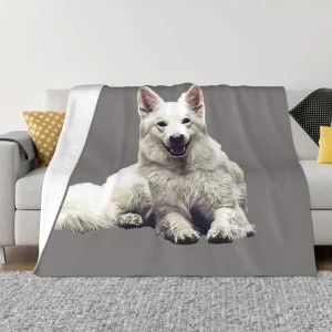 Chien berger suisse blanc Une couverture ultra douce en micro polaire