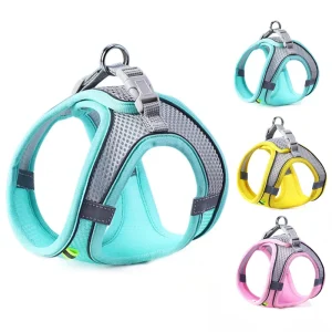 Ensemble de Corde SFP GlaChest pour Chat et Chien, Moulage Respirant et Réglable, Animal de Compagnie pour Petits et Moyens Chiens, Marche en Plein Air