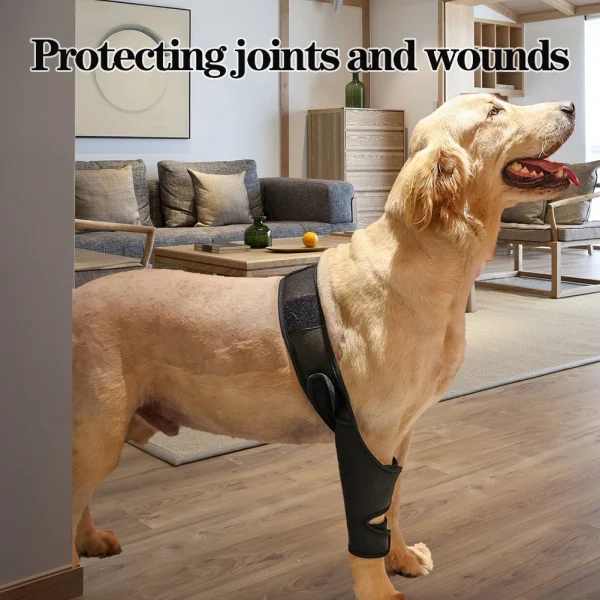 kf-S98509d97e5284d6f9ac70e9f86daefccA Attelle de hanche universelle pour chiens, genouillère, tissu respirant et élastique, protecteur de jambes de chien, fournitures pour animaux de compagnie
