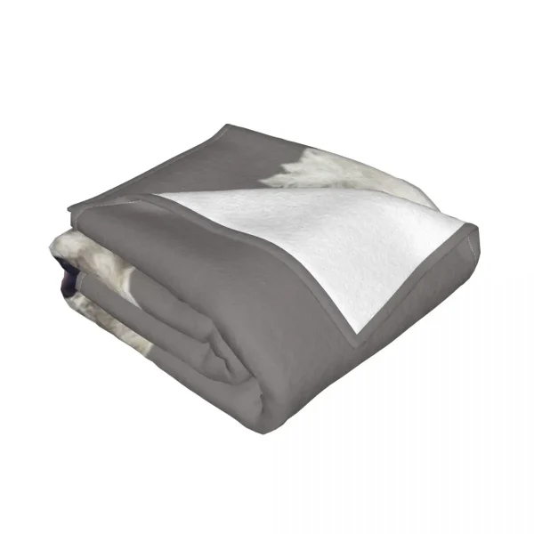 kf-Sc809cb0091fb4c55a9e67f2d7928a94bn Chien berger suisse blanc Une couverture ultra douce en micro polaire