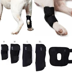 Protection de la bandage pour chien, couverture de protection contre l'arthrite, soutien des jambes de chien, attelle articulaire, genouillères pour animaux de compagnie, récupération des blessures, fournitures pour chiens
