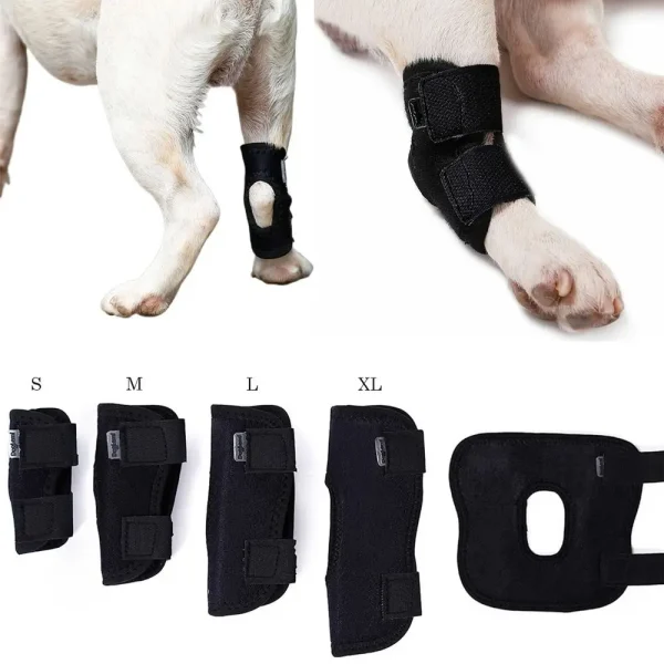Protection de la bandage pour chien, couverture de protection contre l'arthrite, soutien des jambes de chien, attelle articulaire, genouillères pour animaux de compagnie, récupération des blessures, fournitures pour chiens