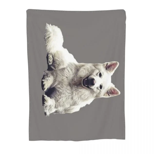 kf-Sf7085e40367c4cc7b22460e4fa34f430W Chien berger suisse blanc Une couverture ultra douce en micro polaire