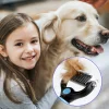 Brosse professionnelle pour démêlage des animaux de compagnie, épilateur de poils de chien, coupe-noeud en fourrure pour chiot et chat, peigne, fournitures de toilettage pour chiens