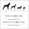 Ceinture de sécurité réglable pour animaux de compagnie, chat, chien, siège pour animaux de compagnie, véhicule, harnais pour chien, Clip en plomb, levier de sécurité, Traction, colliers pour chiens, Accessoires pour chiens