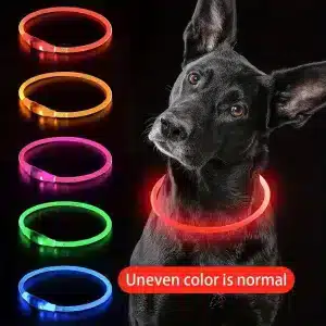 Collier lumineux LED pour chien de compagnie, Anti-perte, Rechargeable par USB