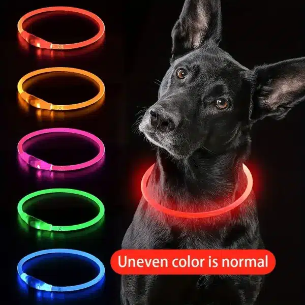 kf-S9c212d5fcbed480e9b56d1c7d2369419z Collier lumineux LED pour chien de compagnie, Anti-perte, Rechargeable par USB