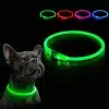 kf-Se62b3056ce7d4e278fa63c63223756e32 Collier lumineux LED pour chien de compagnie, Anti-perte, Rechargeable par USB